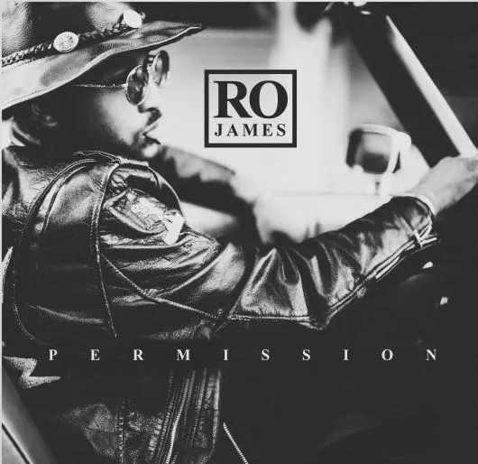 Ro James Permission cover